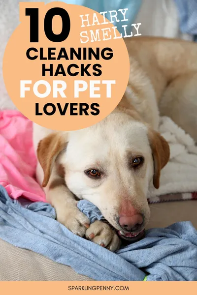 Love your pets but not the mess? Get the scoop on 10 genius cleaning hacks that every pet owner needs to know.