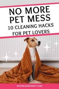 Love your pets but not the mess? Get the scoop on 10 genius cleaning hacks that every pet owner needs to know.