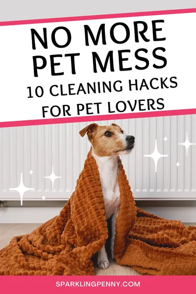 No More Pet Mess! 10 Cleaning Hacks For Animal Lovers