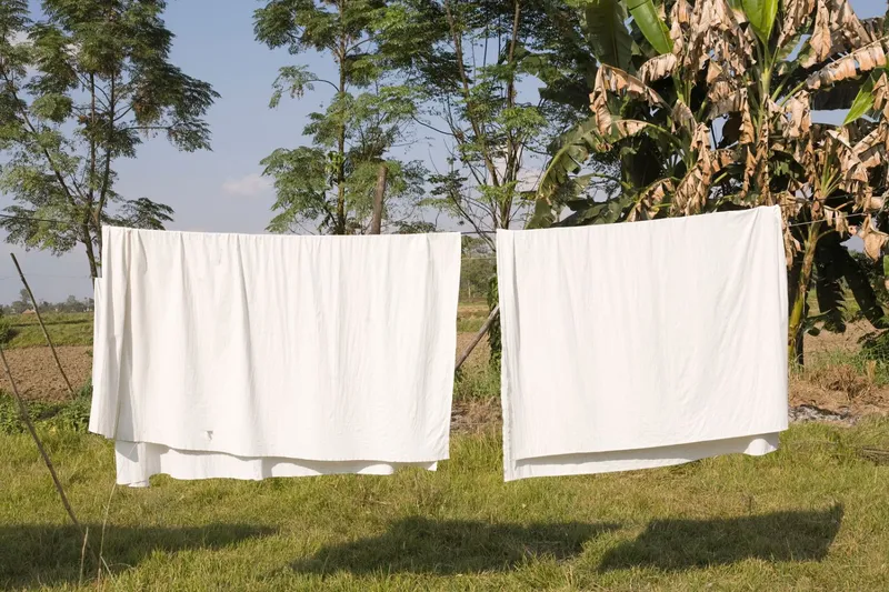 bedsheets drying