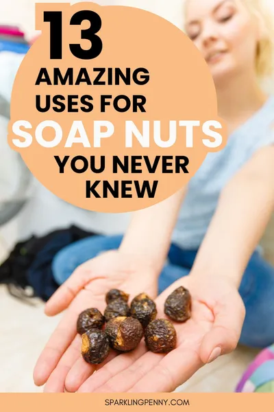 There are loads of uses for soap nuts around the home. I show you how to use them for your laundry, cleaning your dishes, as a shampoo, and body was and much more.