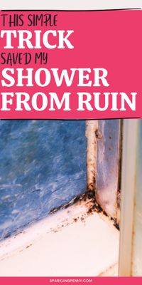 How to get rid of black mold in the shower tile grout and caulk quickly and easily with one simple method.