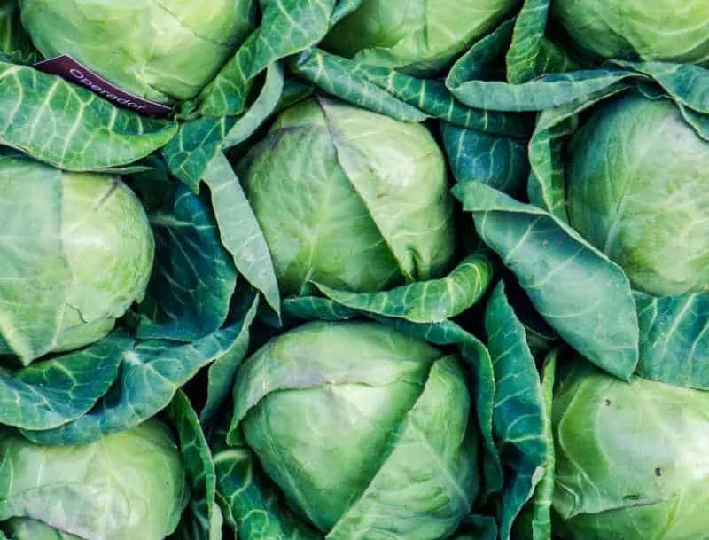 cheap foods with high nutritional value - cabbage