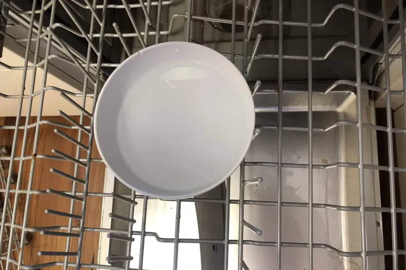 cleaning the dishwasher