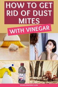 Vinegar is a great way to kill dust mites. I show you how to make a homemade DIY spray to get rid of dust mites the natural way using vinegar and essential oils. You can use the spray around your home including on your bed as dust mites often like to hide in the mattress. If you have an allergy to dust mites, or already have a bites from them, this post will help you banish with them fast!