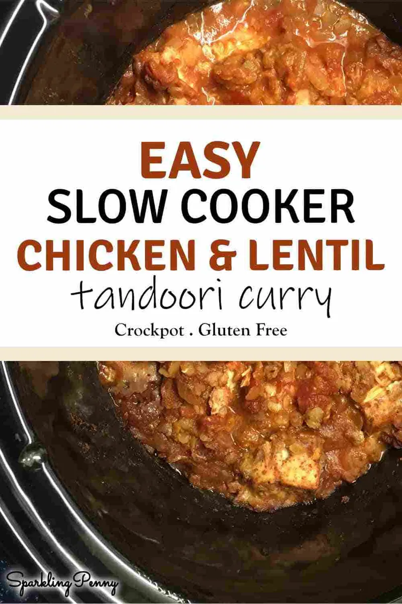 Easy Slow Cooker Chicken and Lentil Tandoori Curry