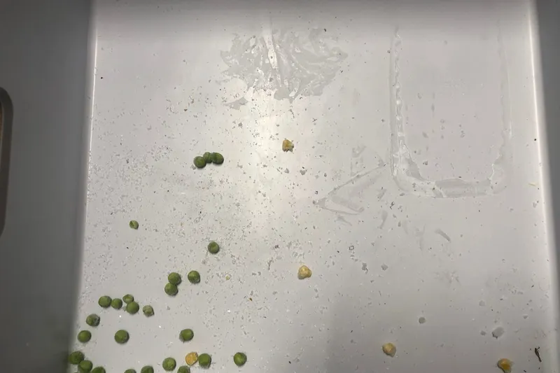 inside freezer with spilled food