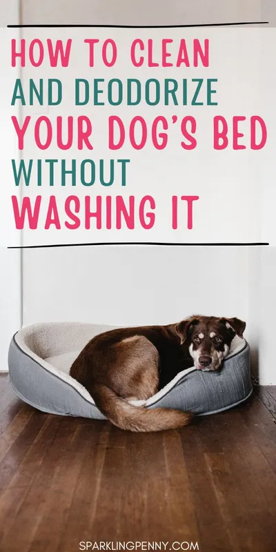 Find out how to quickly clean and deodorize your smelly dog's bed without washing it. I show you a DIY natural method that is healthy and safe for your dog.