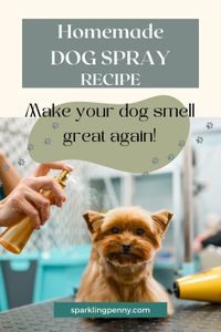This homemade deodorizing dog spray for pet odors is so easy and cheap to make. All you need is a spray bottle and a few cheap items and some essential oils.