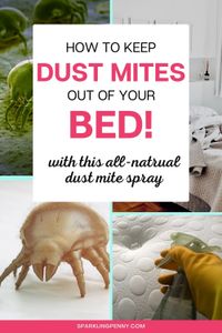 How to stop dust mites from taking up residence in your mattress! I have all the tips for cleaning and treating dust mites in your bed.  Kill and repell them with my natural diy mattress spray recipe with essential oils and vinegar.