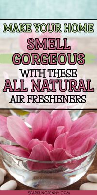 DIY natural air freshener recipes for a fresher, fragrant home. Make your house smells go away with a natural room spray using essential oils and more!