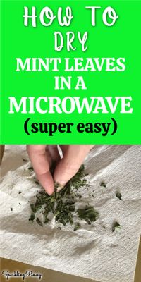 Quick and easy tutorial on how to dry mint leaves in your microwave at home.
