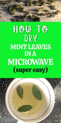 Quick and easy tutorial on how to dry mint leaves in your microwave at home.