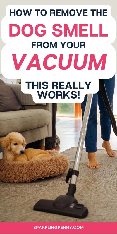 Does your vacuum smell doggy? I had the same problem not so long ago, and I was quite amazed (and relieved) at how easy it was to remove the dog smell from my vacuum cleaner. No need to replace it (phew). Find out how I got rid of the dog smell in both my bagged and bagless vacuum. It was easier to solve than you think!