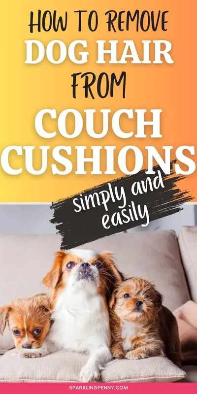 How to remove dog hair from couch cushions! Here are my tried and tested  methods for getting rid of it simply and easily.
