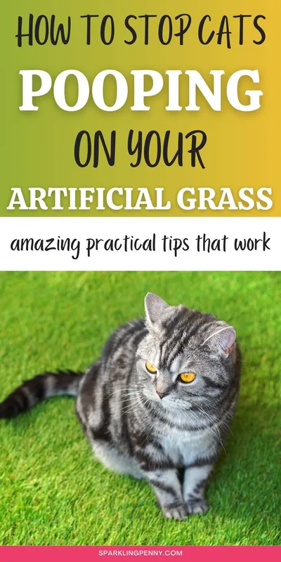 How To Stop Cats Pooping on Artificial Grass Using Natural Methods