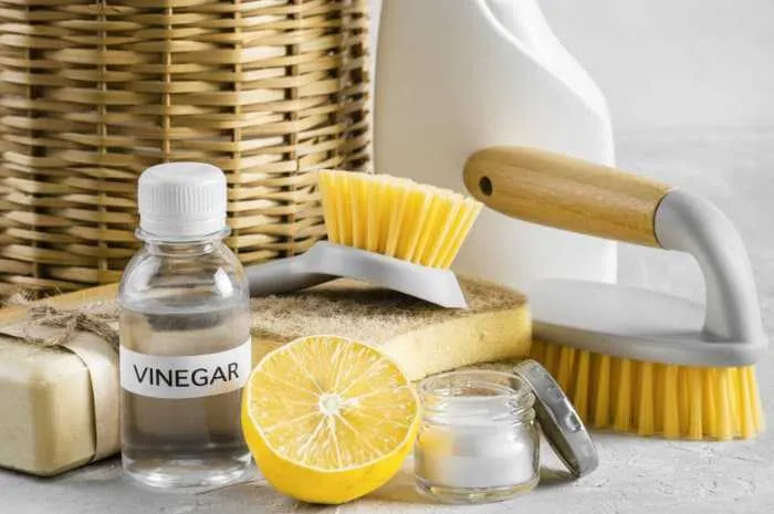 How Vinegar Kills Bacteria In Your Home