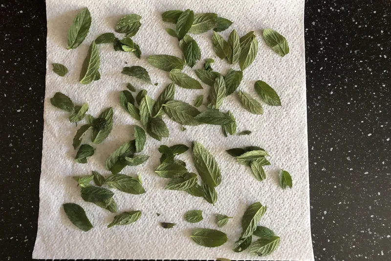 mint leaves laid out on a paper towel