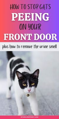 Use these simple tricks to deter cats from peeing on your front door. Plus how to remove the cat pee smell so that your front door stops smelling like a cat toilet! Ideas include using ensyme-based cleaners to remove the smell and essential oils to deter the cat, and much more!
