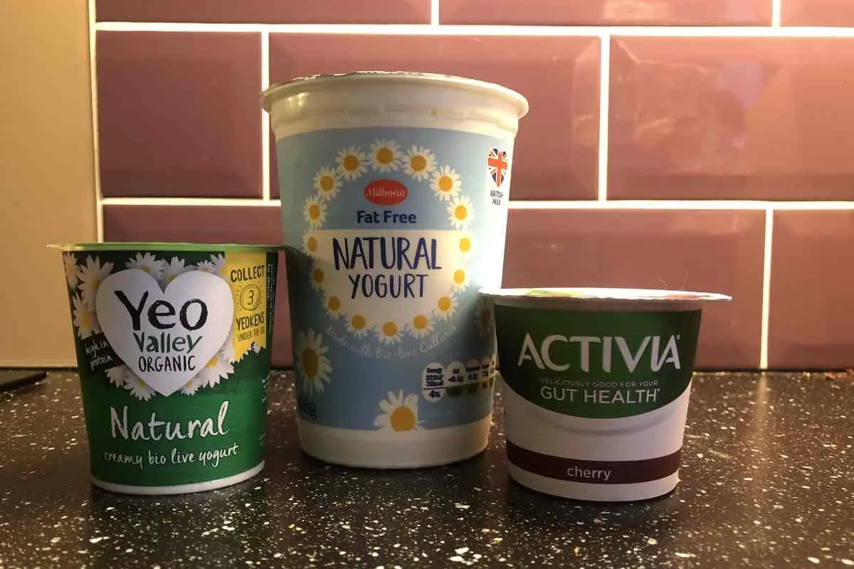 Is it OK to Freeze Yoghurt? - Three Yoghurts Compared