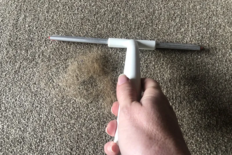 removing pet hair from a carpet with a squeegee