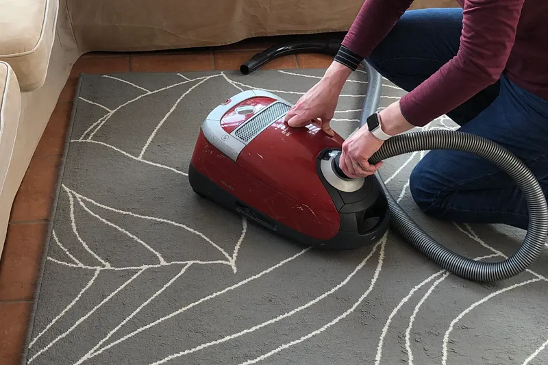 vacuum cleaner maintenance
