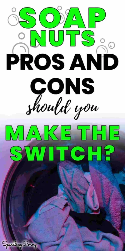 Soap Nuts Pros and Cons - Should You Make The Switch?