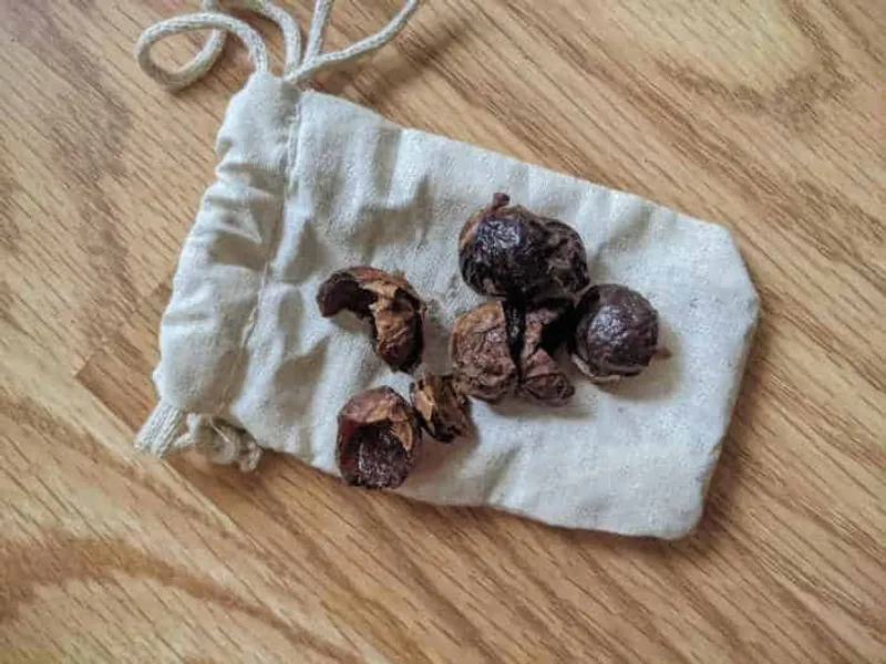 soap nuts on top of a bag
