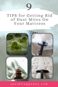 Cleaning tips on how to rid your mattress of dust mites. If you have a dust mite allergy, or have bites, follow these tips to clean your bed. Tips include the right way to vacuum, how to remove from your bedding and pillows and how to prevent dust mites naturally with essential oil mattress spray.
