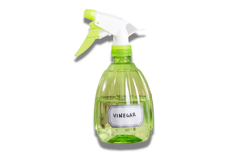 vinegar in a spray bottle