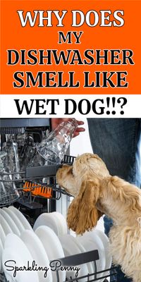 If your dishwasher smells like wet dog, find out how to clean it naturally with store-cupboard items.