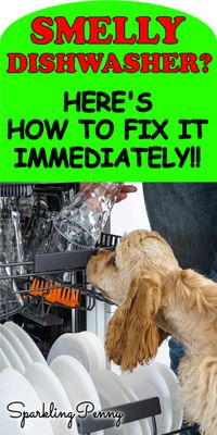 If your dishwasher smells like wet dog, find out how to clean it naturally with store-cupboard items.