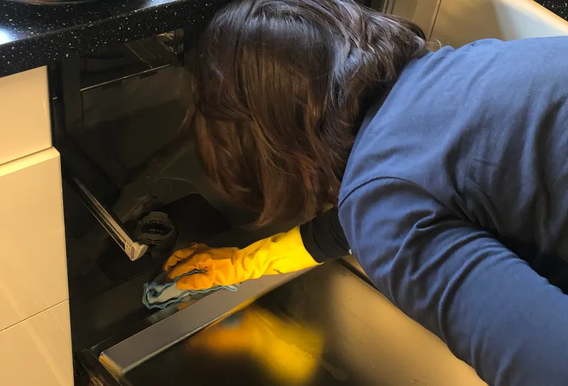 wiping the door seals on a dishwasher