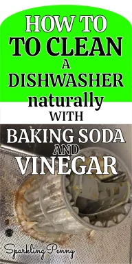How to keep your dishwasher running beautifully so your dishes always come out sparkling.