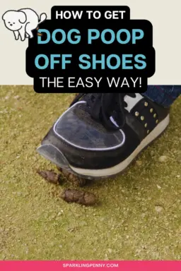Stepping in dog muck can instantly ruin your day and make a mess of your shoes. But, never fear, because you can get it off fast with just a few simple tools and stuff you probably already have at home.