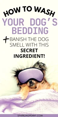 How to wash your dog bed whether it is large or small in the washer. Plus I reveal the secret to getting the dog smell out of your dog's bed and blankets.