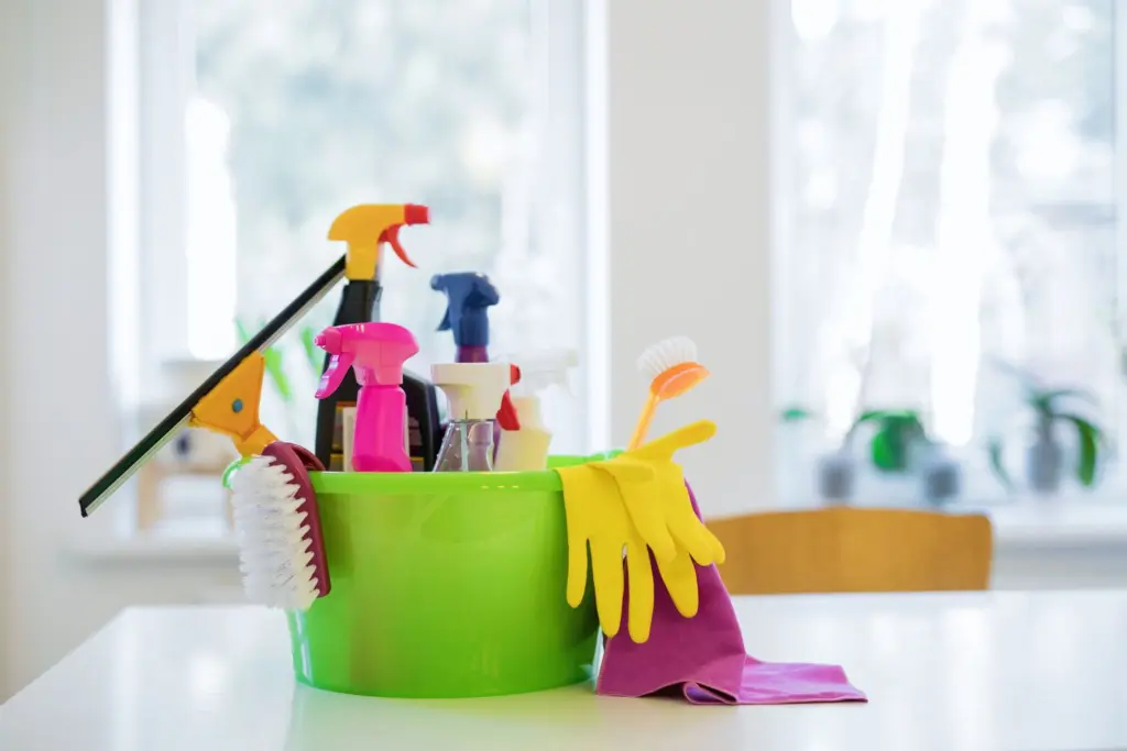 professional cleaning tools