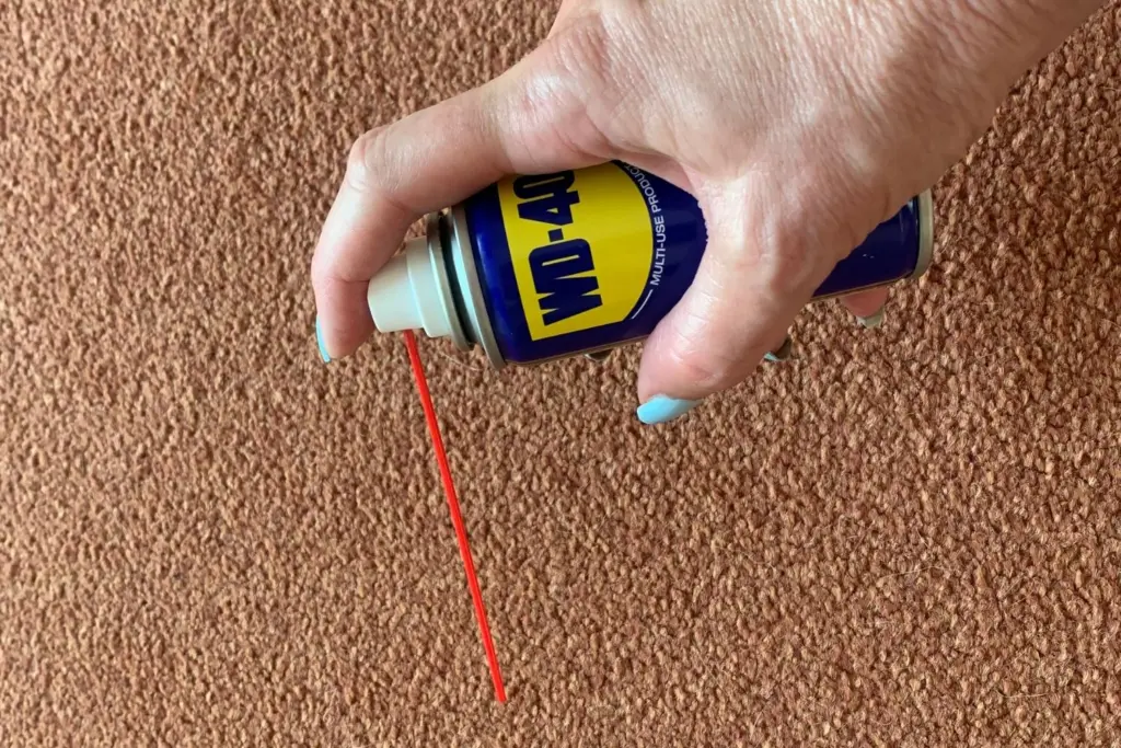 spraying carpet with wd-40