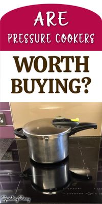 Are Pressure Cookers Worth Buying?