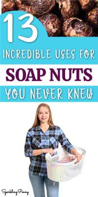 13 Best Uses For Soap Nuts You Never Knew