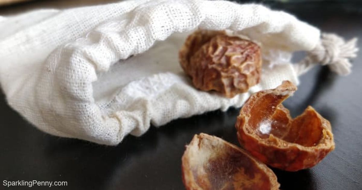 Can You Use Soap Nuts For Hair? - SparklingPenny