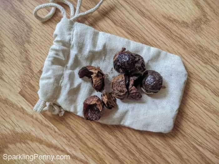 soap nuts on on top of a bag