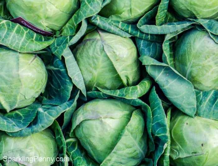 cheap foods with high nutritional value - cabbage