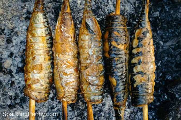 cheap foods with high nutritional value - mackerel