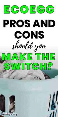 Ecoegg Pros and Cons - Should You Make The Switch?