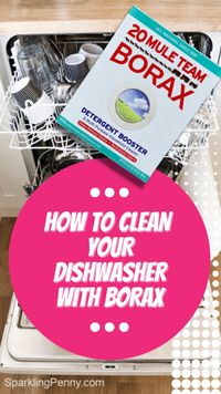 How To Clean a Dishwasher With Borax