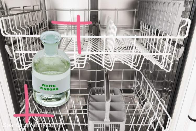 how to clean a dishwasher with hard water buildup