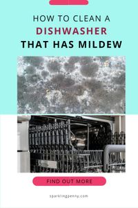How To Clean a Dishwasher With Mildew