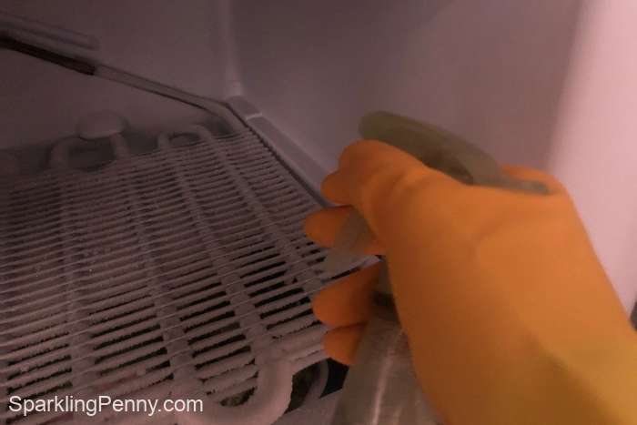 sanitizing the freezer