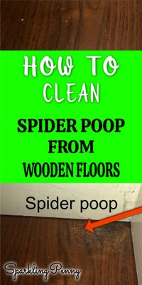 How To Clean Spider Poop From Wooden Flooring (naturally)